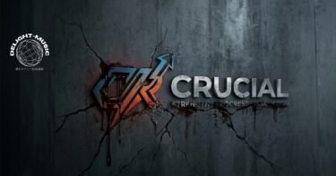 crucial（instrumental）